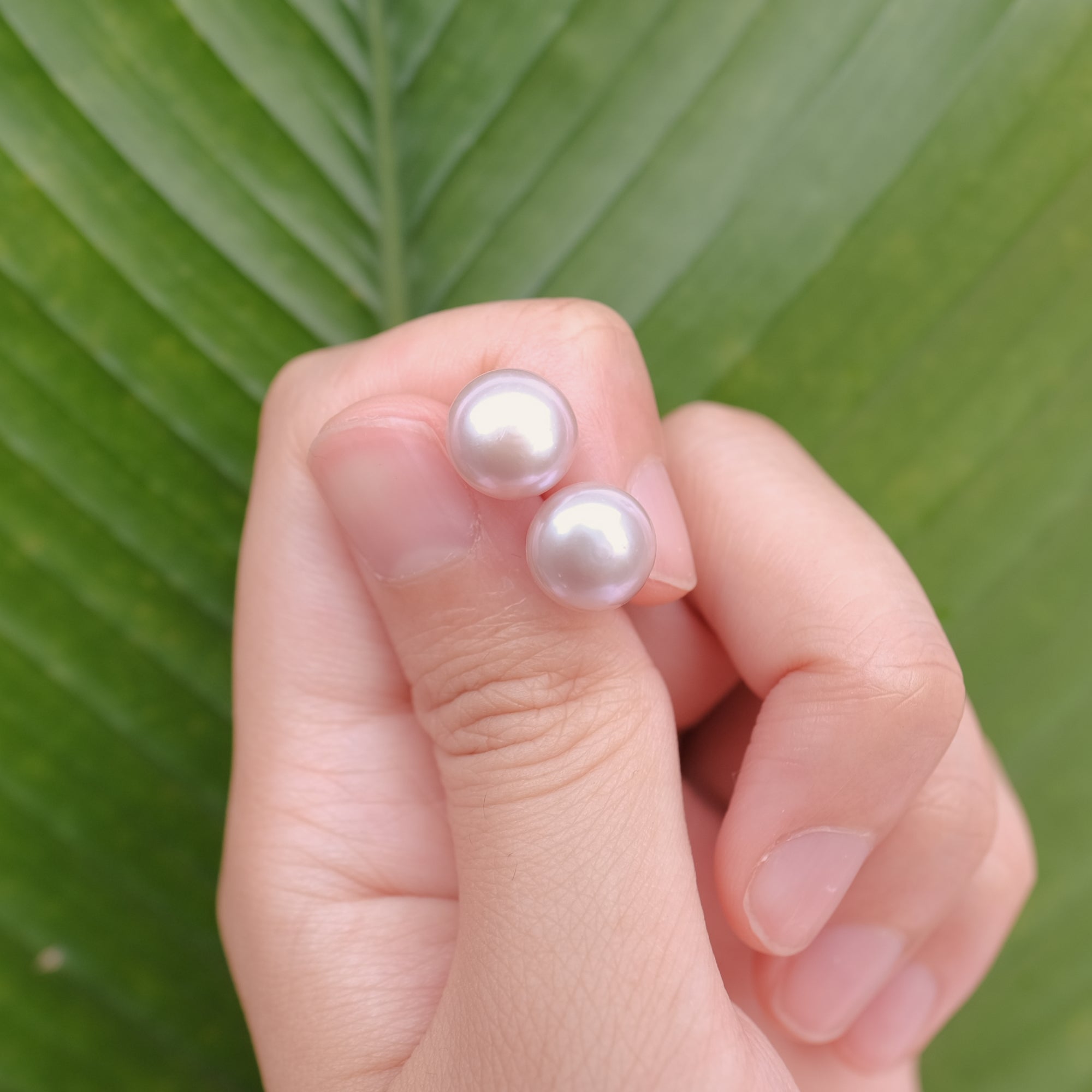 MOKMOK JEWELRY Lavender Purple Natural 10mm Freshwater Pearls 4A grade - on 100% 925 Sterling Silver posts