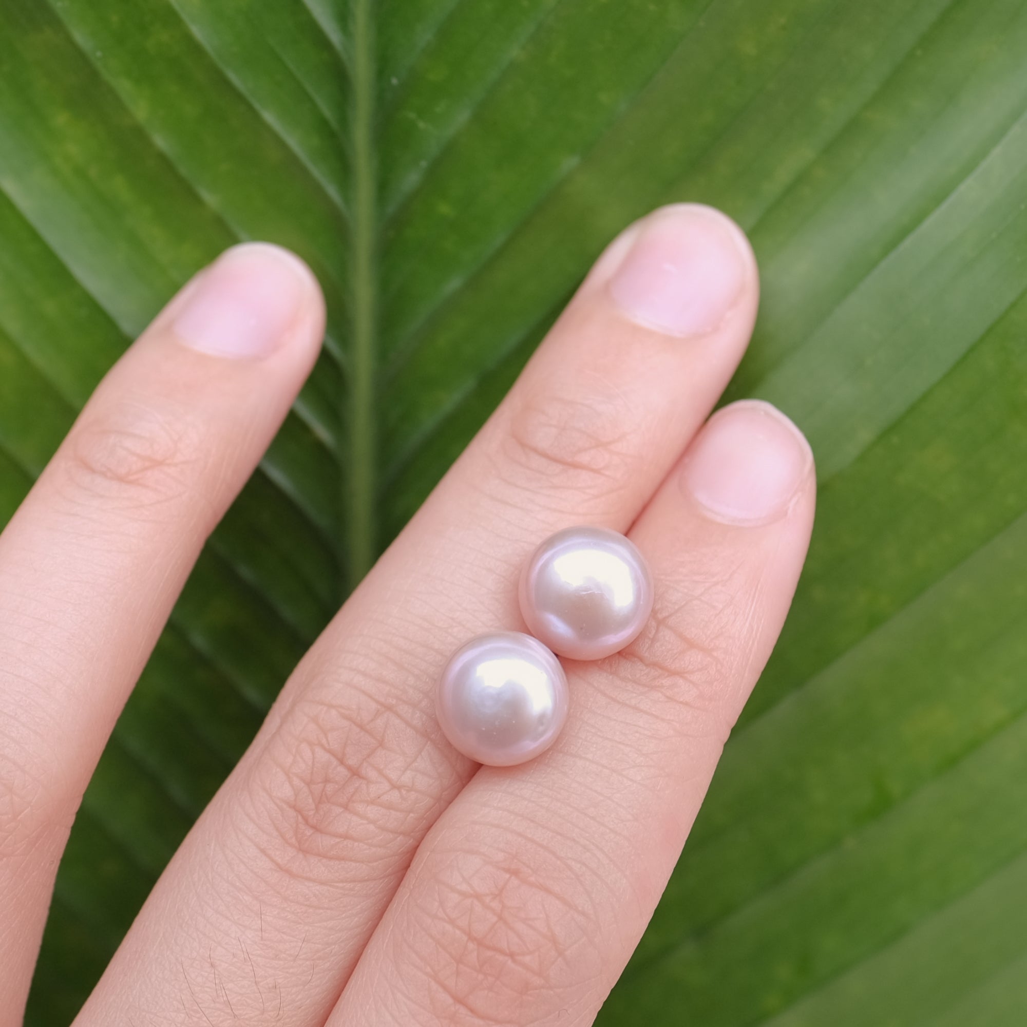 MOKMOK JEWELRY Lavender Purple Natural 10mm Freshwater Pearls 4A grade - on 100% 925 Sterling Silver posts