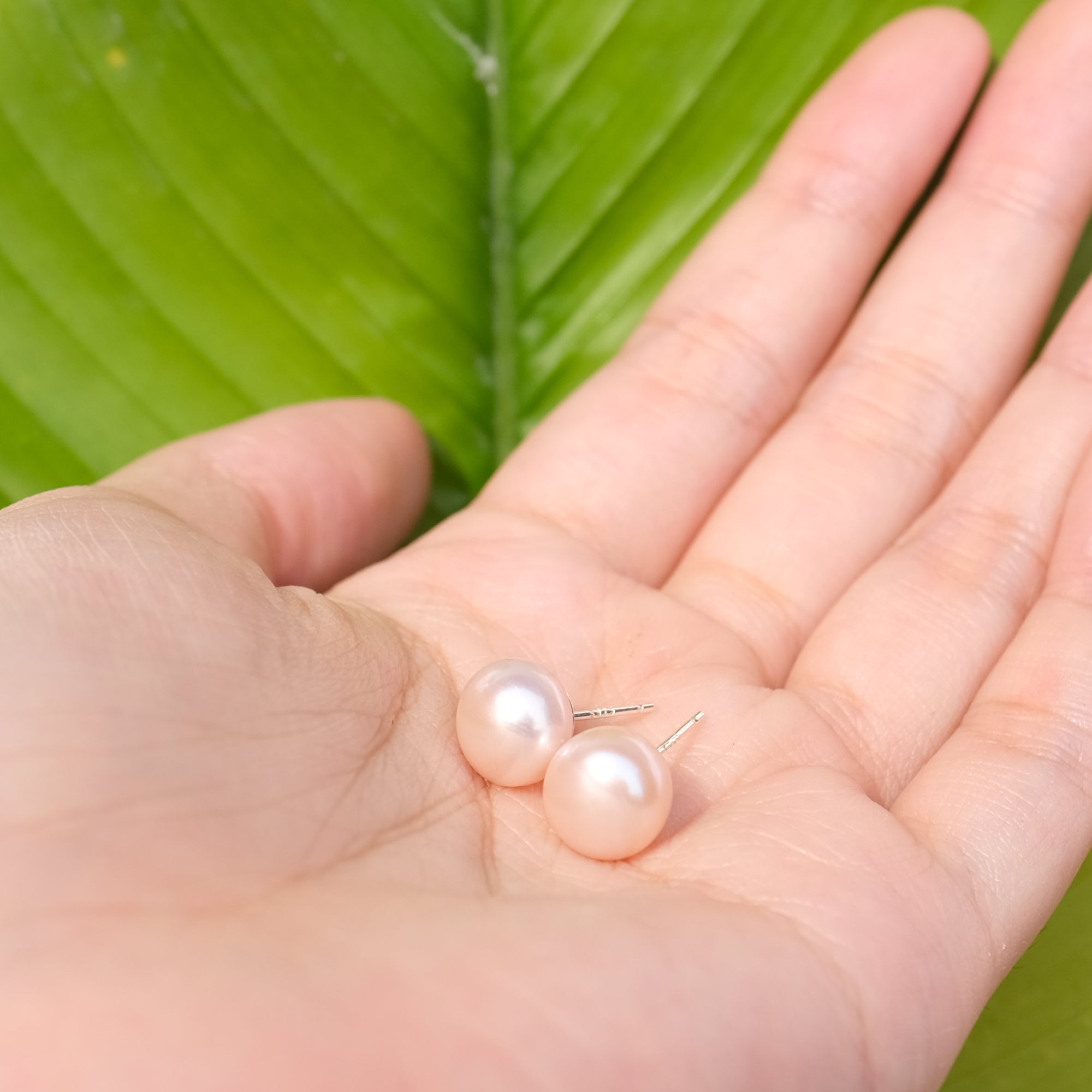 MOKMOK JEWELRY Sakura Pink Natural 10mm Freshwater Pearl Stud 6A grade - on 100% 925 Sterling Silver posts