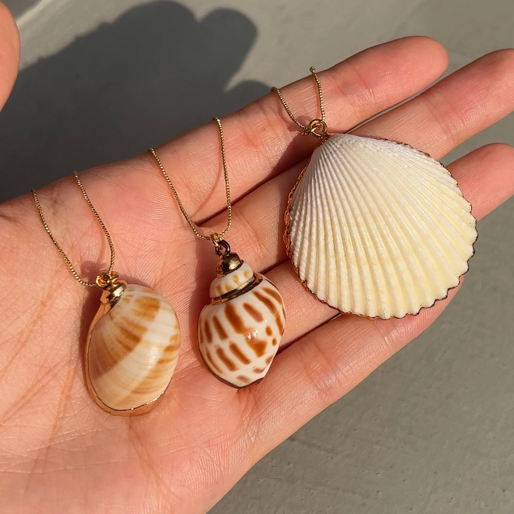 Real Scallop Shell Necklace