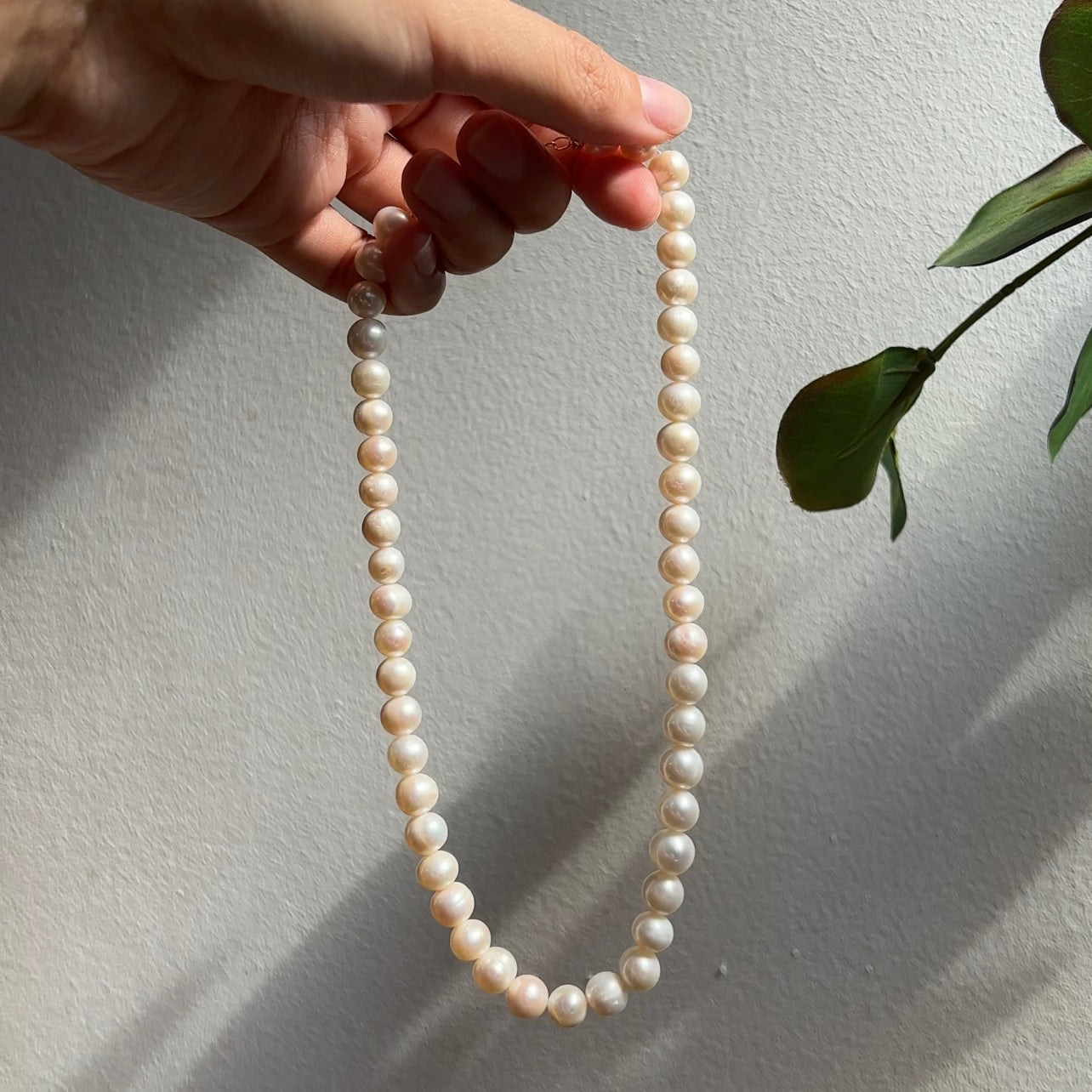 Marilyn Full Pearl Necklace