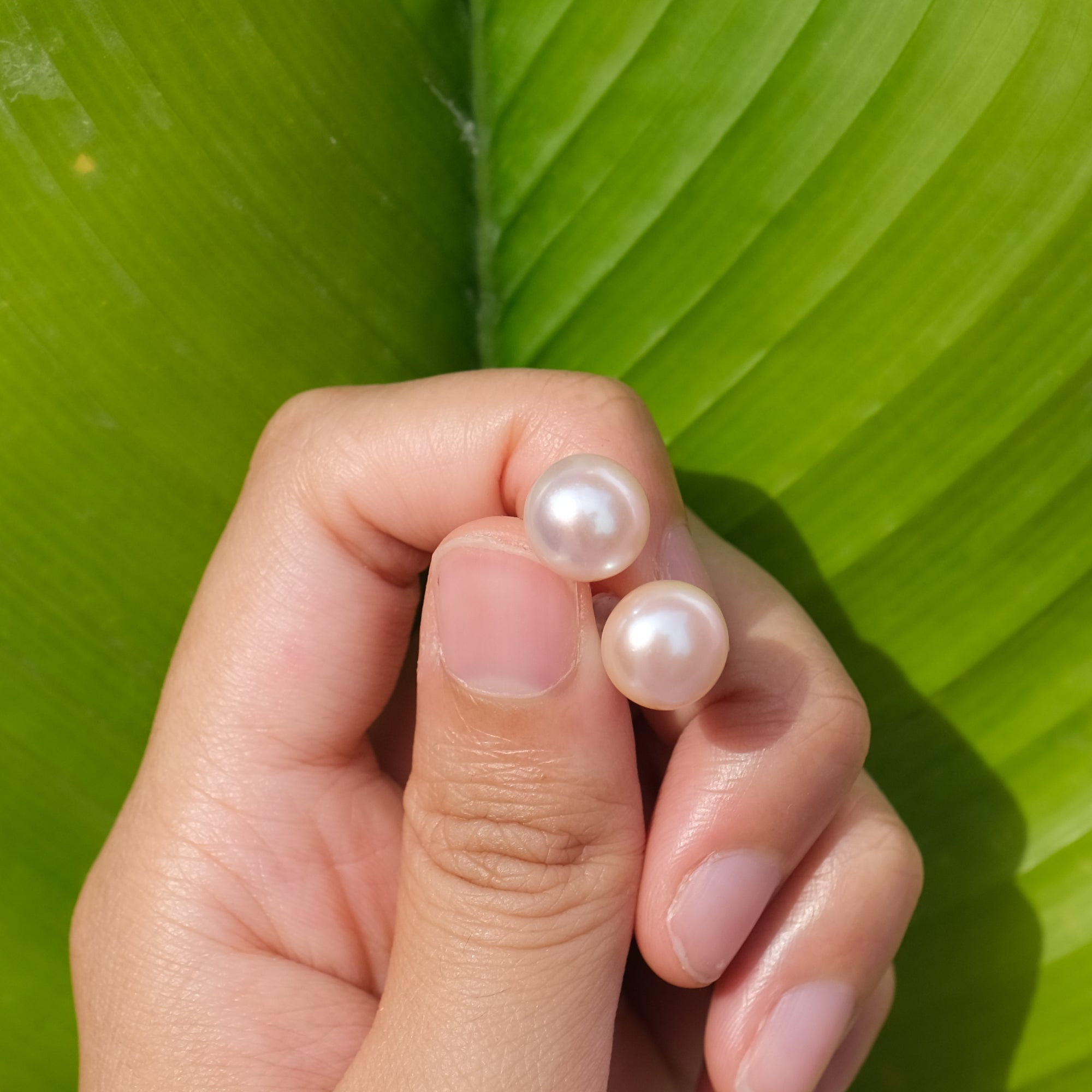 MOKMOK JEWELRY Sakura Pink Natural 10mm Freshwater Pearl Stud 6A grade - on 100% 925 Sterling Silver posts