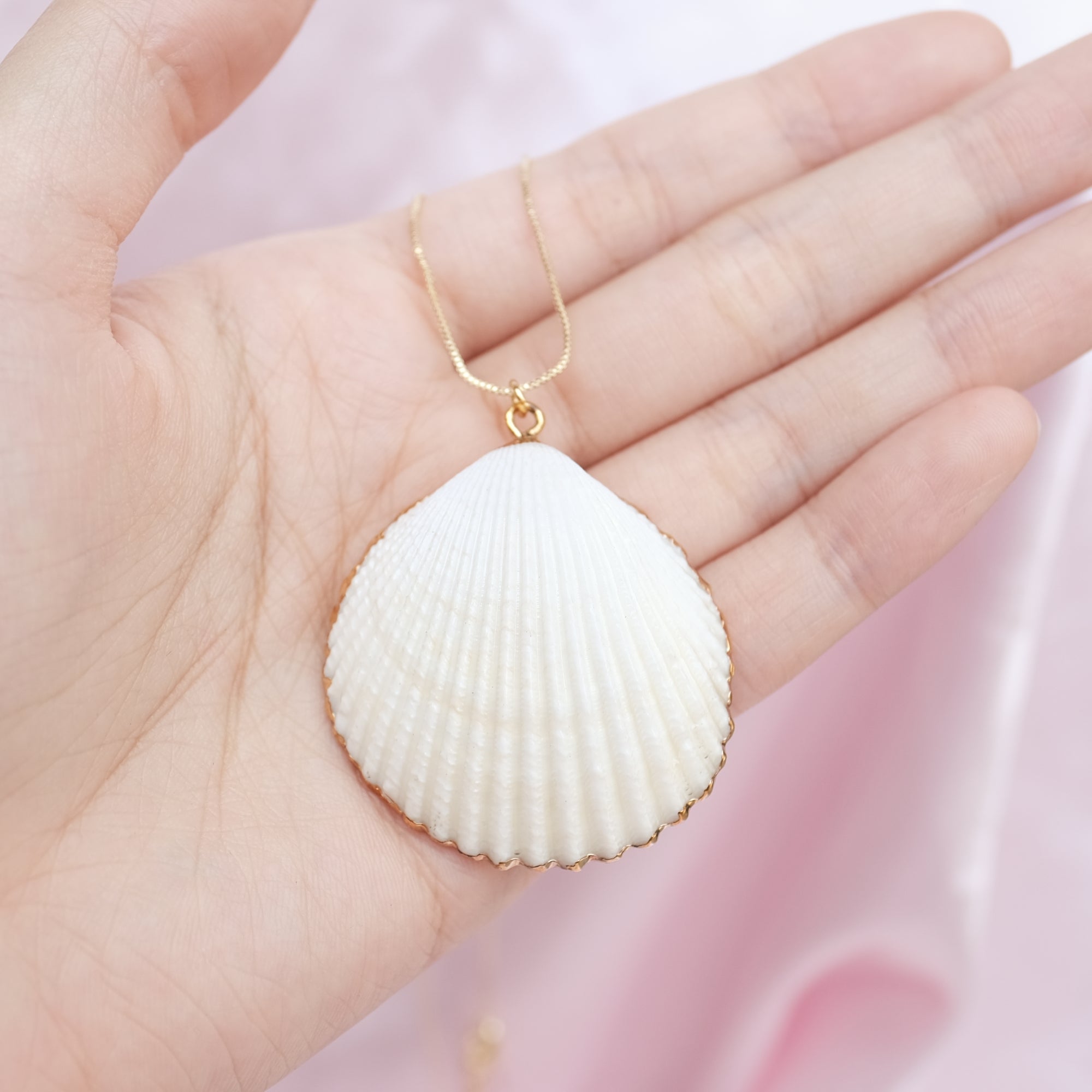 Real Scallop Shell Necklace